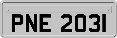 PNE2031
