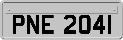 PNE2041