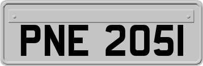 PNE2051