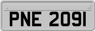 PNE2091