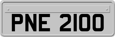 PNE2100