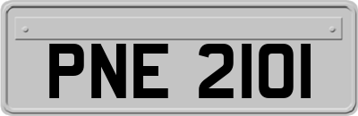 PNE2101