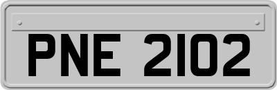 PNE2102