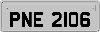 PNE2106
