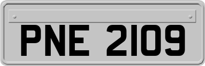 PNE2109