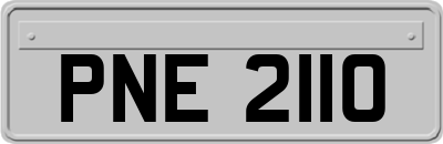 PNE2110