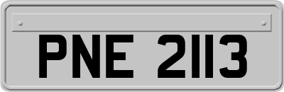 PNE2113