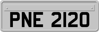 PNE2120