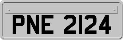PNE2124
