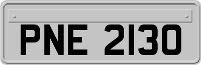 PNE2130