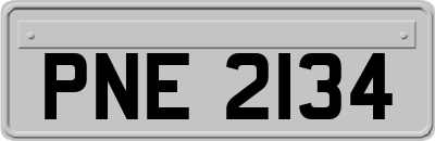PNE2134