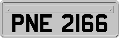 PNE2166