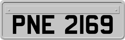 PNE2169