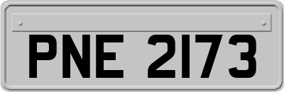 PNE2173