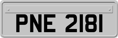 PNE2181