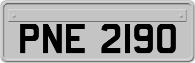 PNE2190
