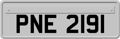 PNE2191