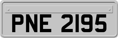PNE2195