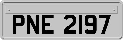 PNE2197