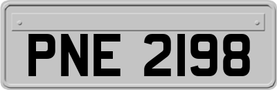 PNE2198