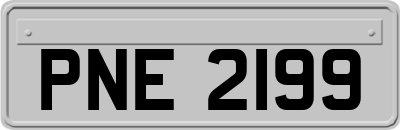 PNE2199