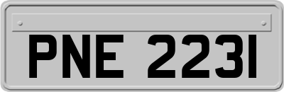 PNE2231