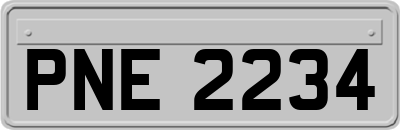 PNE2234