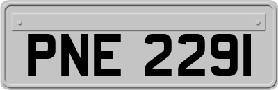 PNE2291