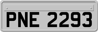 PNE2293