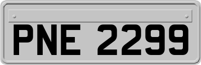 PNE2299