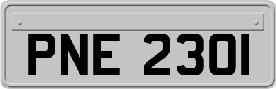 PNE2301