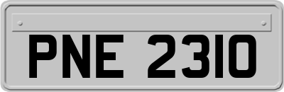 PNE2310