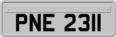 PNE2311