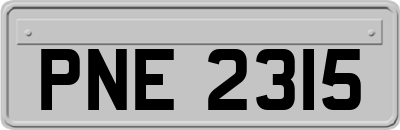 PNE2315