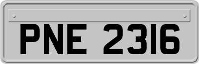 PNE2316