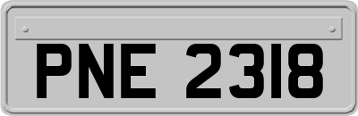 PNE2318