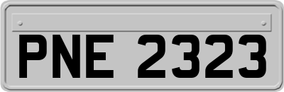 PNE2323