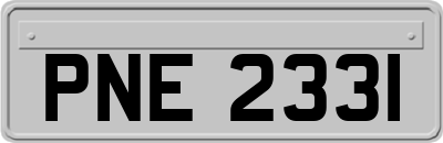 PNE2331