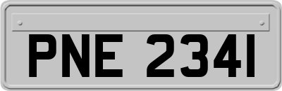 PNE2341