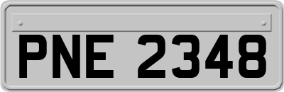 PNE2348