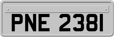 PNE2381