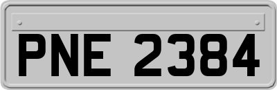 PNE2384