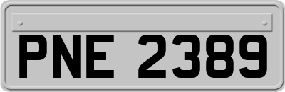 PNE2389
