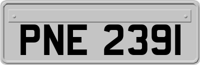 PNE2391