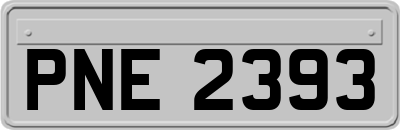PNE2393