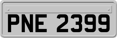 PNE2399