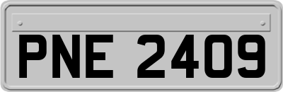 PNE2409