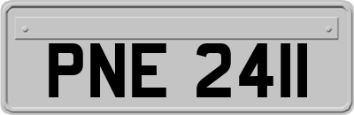 PNE2411