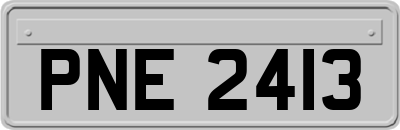 PNE2413