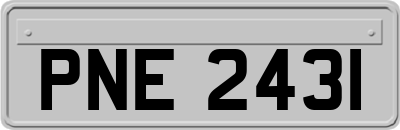 PNE2431